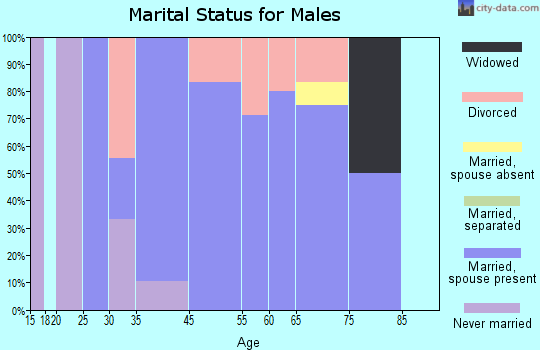 Bloomingdale marital status for males