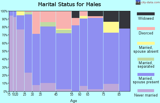 Bourbon marital status for males