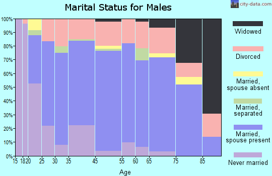 Brazil marital status for males