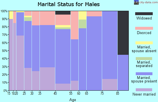 Bristol marital status for males
