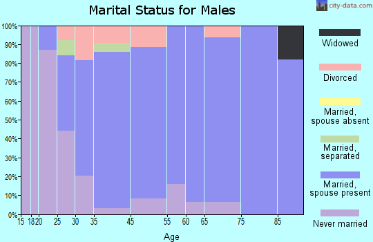 Brook marital status for males