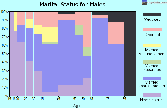 Brookville marital status for males
