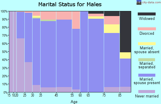 Brownsburg marital status for males