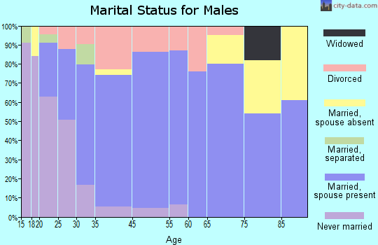 Brownstown marital status for males