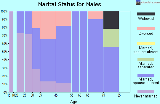 Bruceville marital status for males
