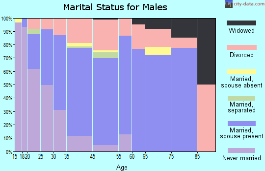 Kenai marital status for males
