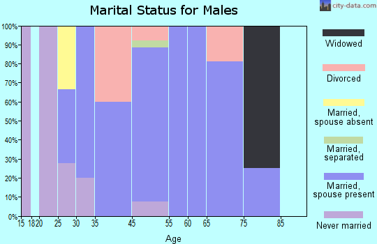 Burnettsville marital status for males