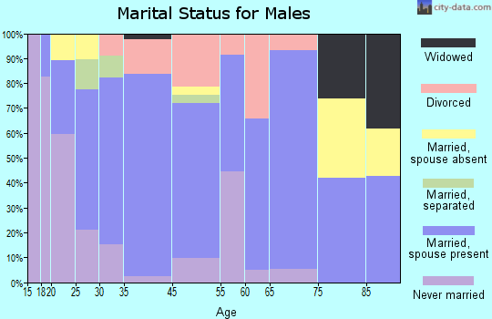 Centerville marital status for males