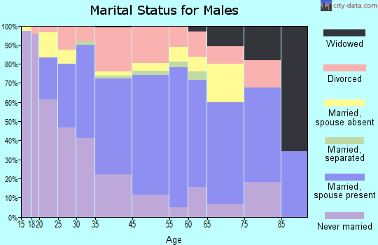 Ketchikan marital status for males