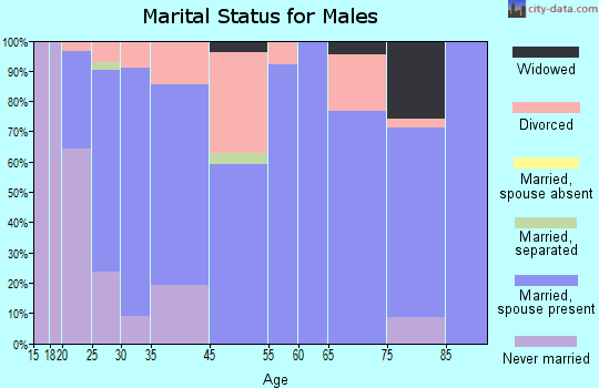 Clay City marital status for males