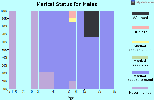 Clear Lake marital status for males