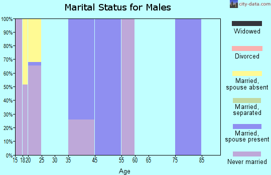 Collegeville marital status for males