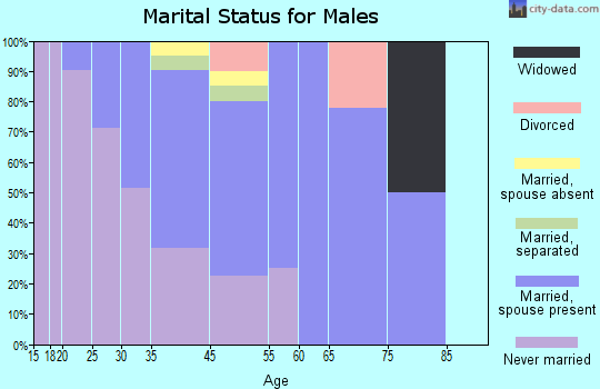 Kipnuk marital status for males