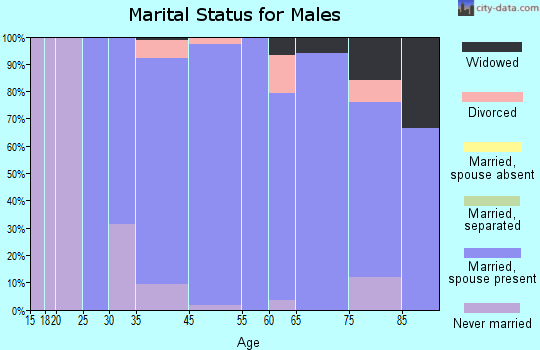 Darmstadt marital status for males