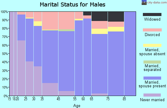 Decatur marital status for males