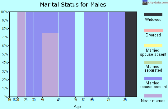 Elizabeth marital status for males