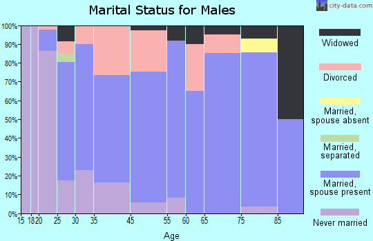 Farmersburg marital status for males