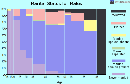 Knik-Fairview marital status for males