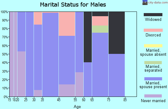 Fillmore marital status for males