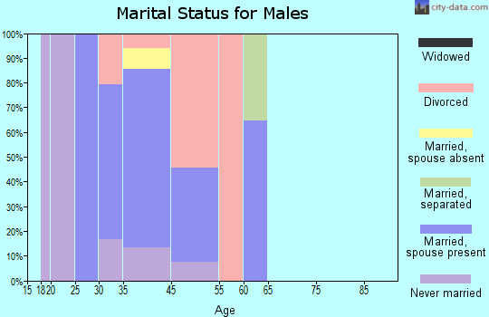 Knik River marital status for males