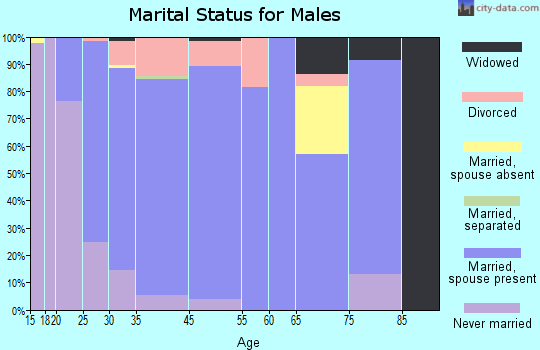Georgetown marital status for males