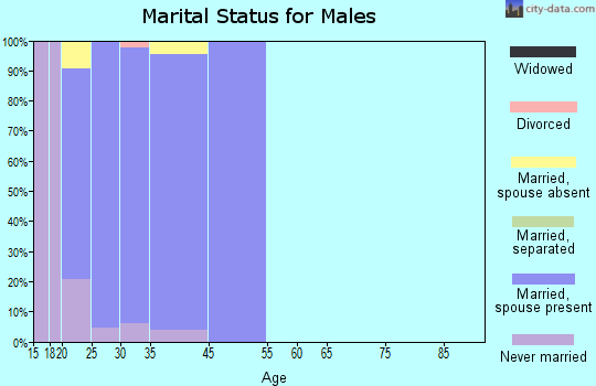 Kodiak Station marital status for males