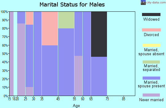 Grissom AFB marital status for males