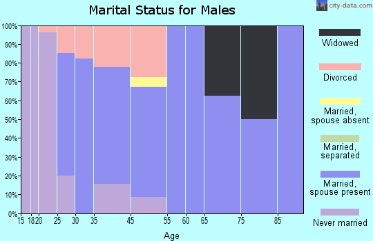 Hudson marital status for males