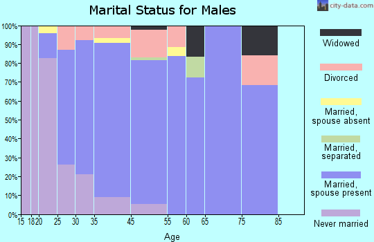 Huntertown marital status for males