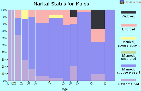 Jamestown marital status for males