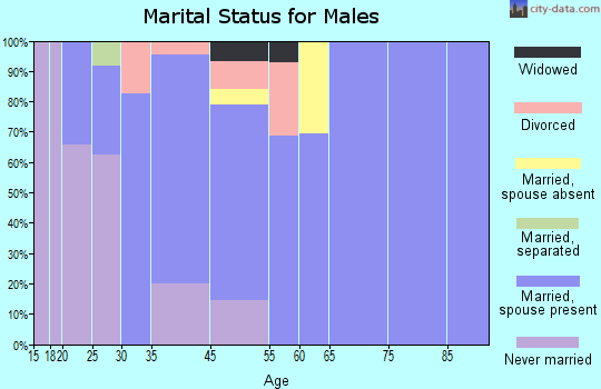 Koontz Lake marital status for males