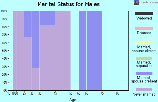 Koyukuk marital status for males