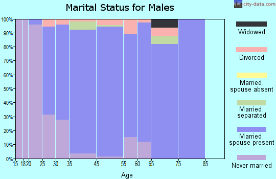 Lakes of the Four Seasons marital status for males