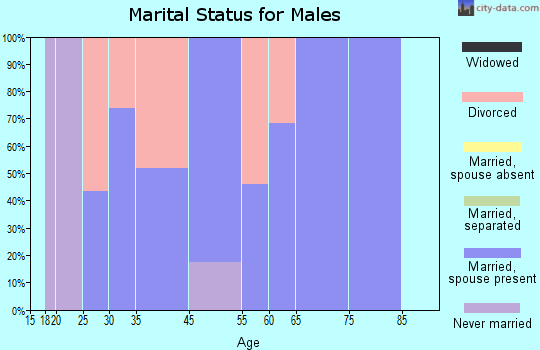 Lake Village marital status for males