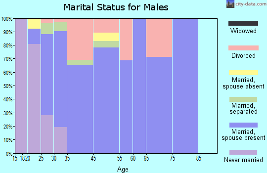 Leesburg marital status for males