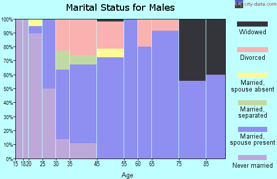 Medaryville marital status for males