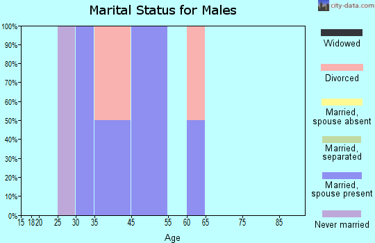 Lake Minchumina marital status for males