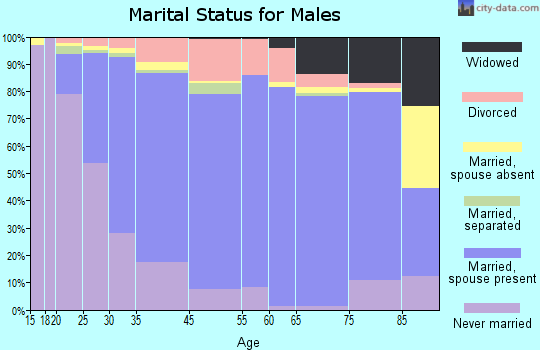 Merrillville marital status for males