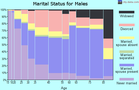 Michigan City marital status for males