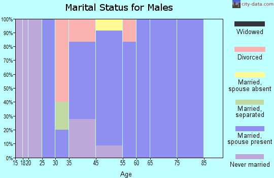 Michigantown marital status for males