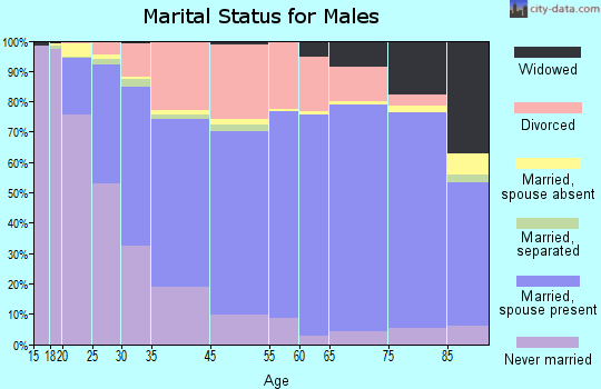 Mishawaka marital status for males