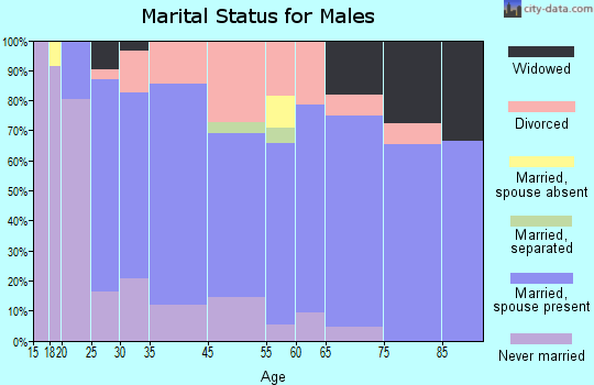 Morocco marital status for males