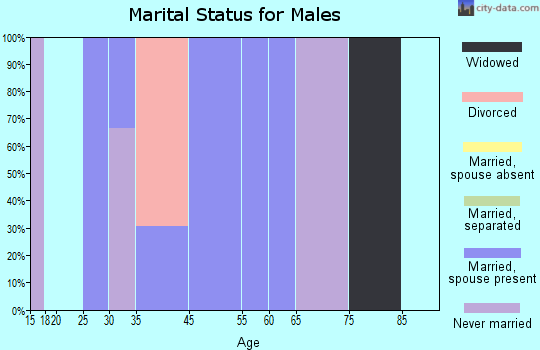 Mount Ayr marital status for males