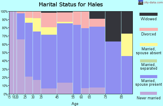 Mount Vernon marital status for males
