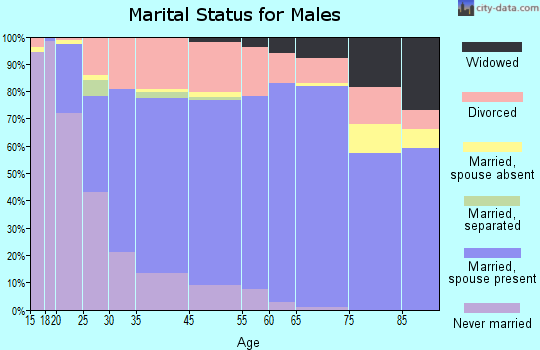 New Castle marital status for males