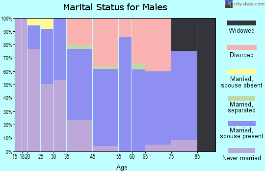 New Chicago marital status for males