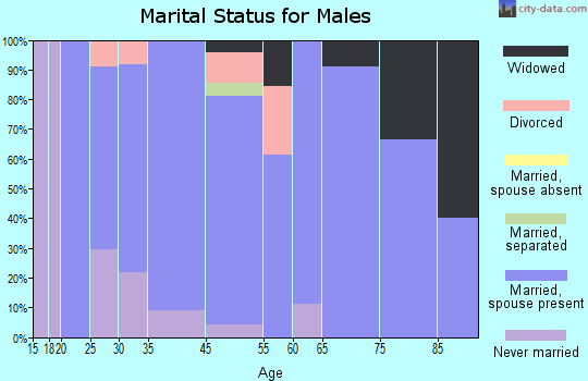 New Palestine marital status for males