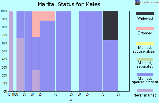 New Paris marital status for males