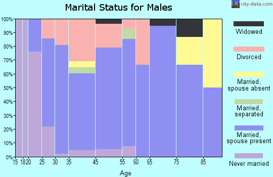 New Pekin marital status for males