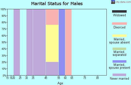 Lowell Point marital status for males